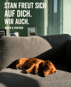 Stan sucht Dich